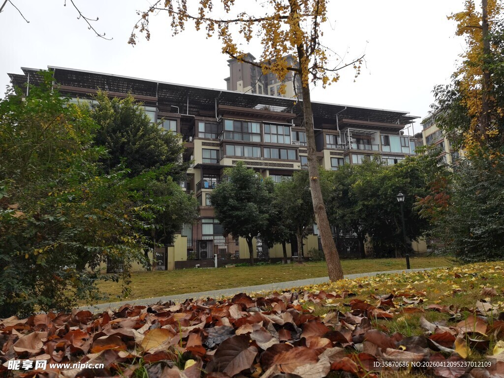 秋日校园建筑与落叶景观