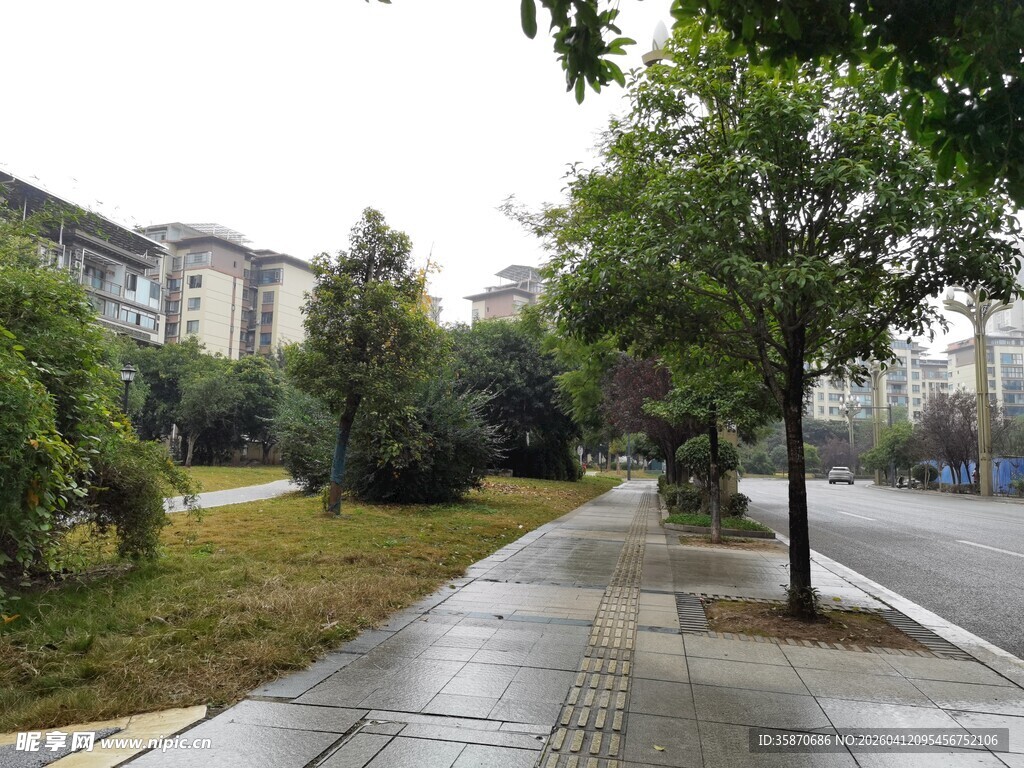 雨后湿润的城市林荫小道