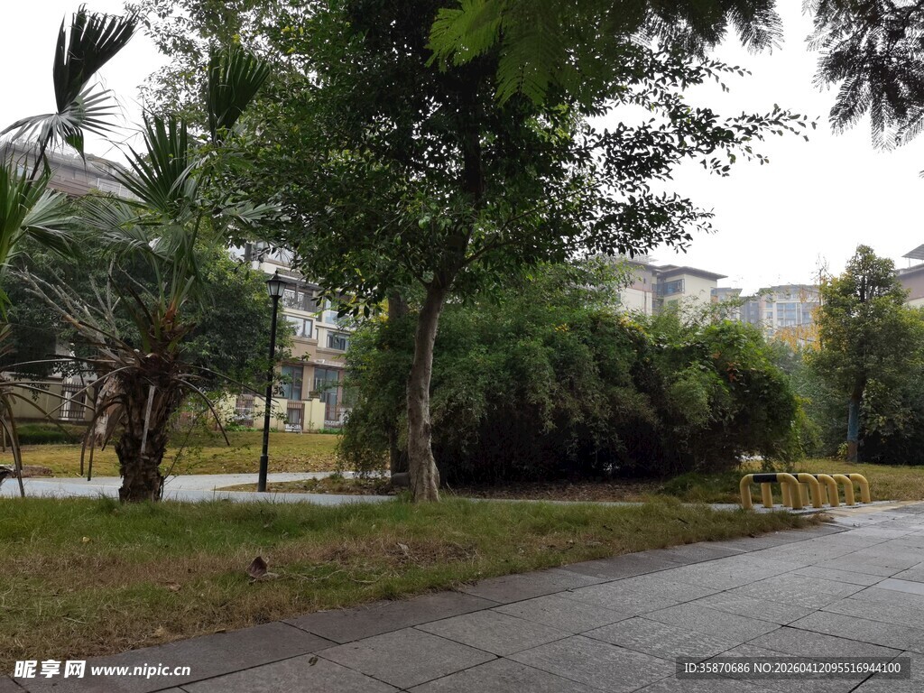城市公园中的宁静小路