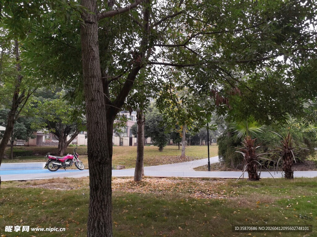 公园林荫下的休闲场景