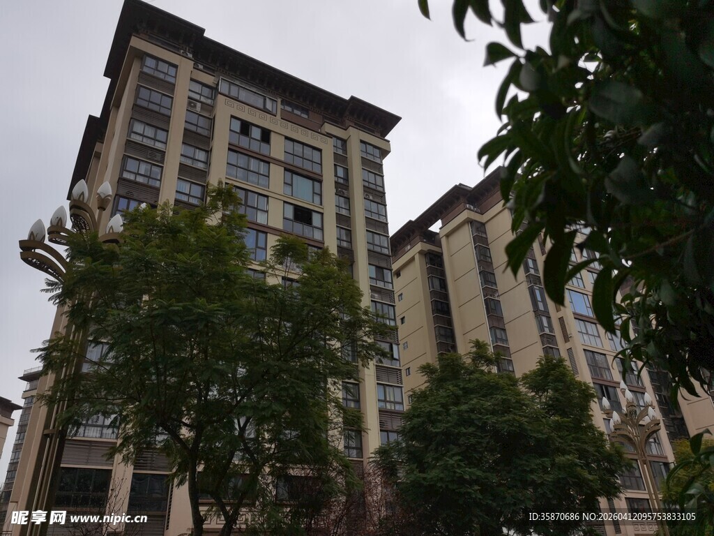 高层住宅旁的绿树景观