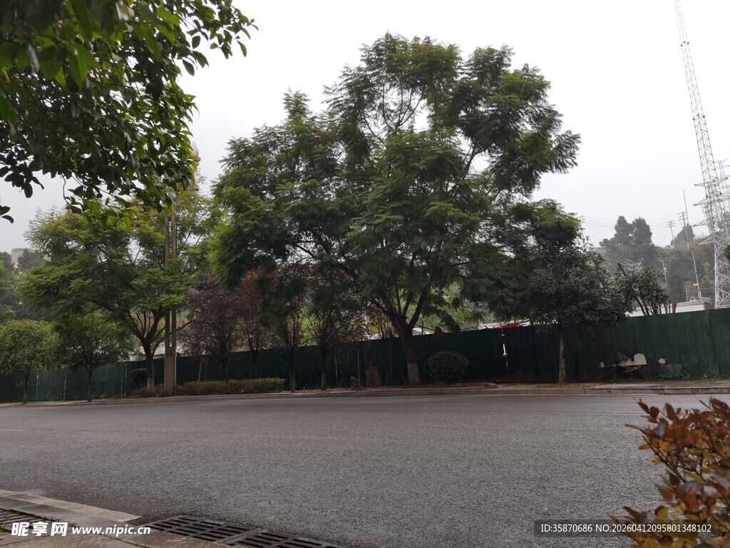 户外绿树环绕的开阔场地