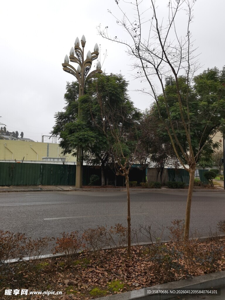 空旷停车场及周边树木
