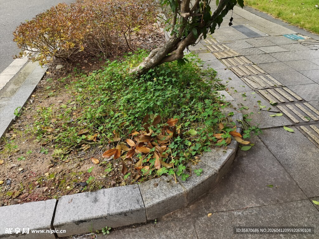 路边转角处的绿植景观