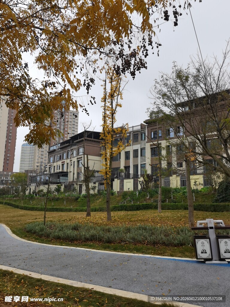 城市中的宁静校园景观