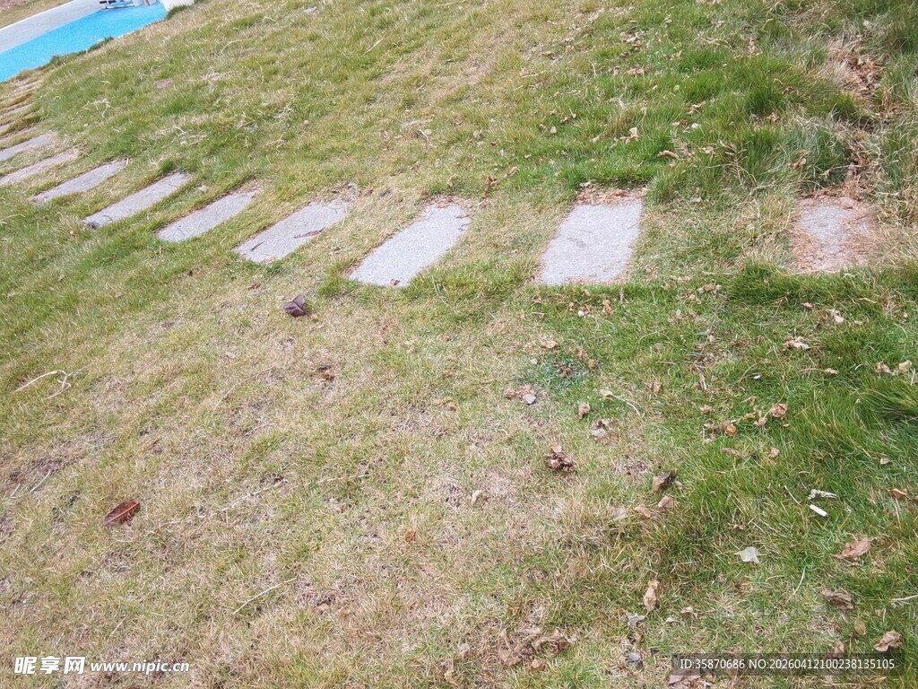 草地中的石板小径