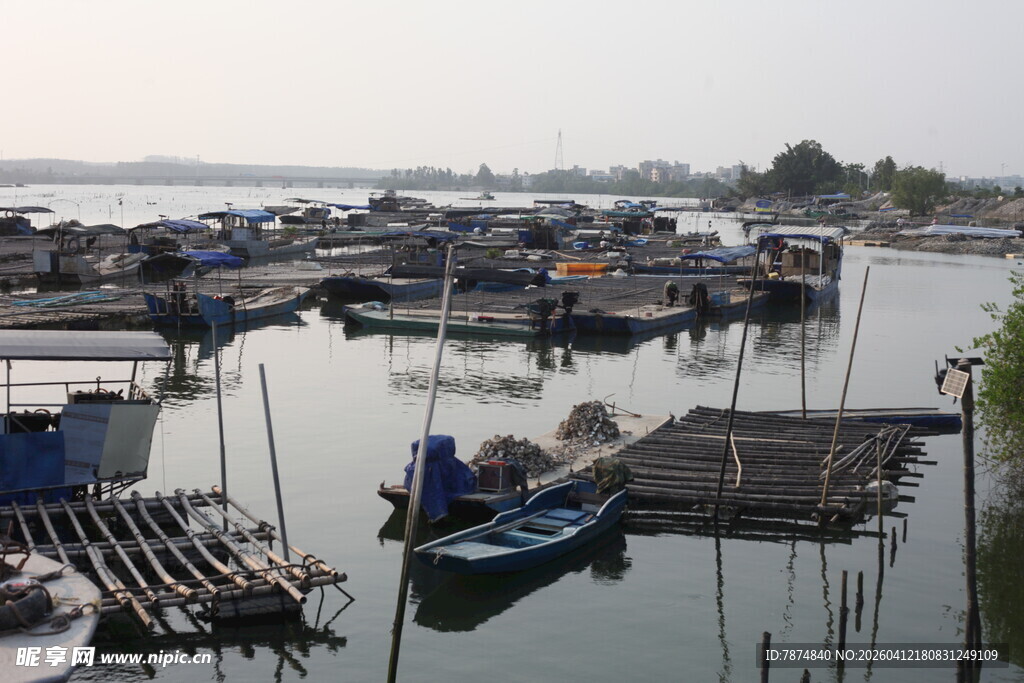 湛江宁静港湾中的停泊船只