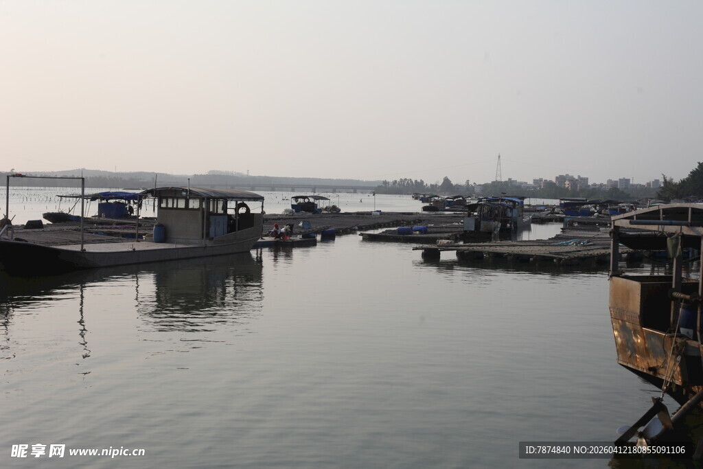 湛江宁静港湾中的停泊船只