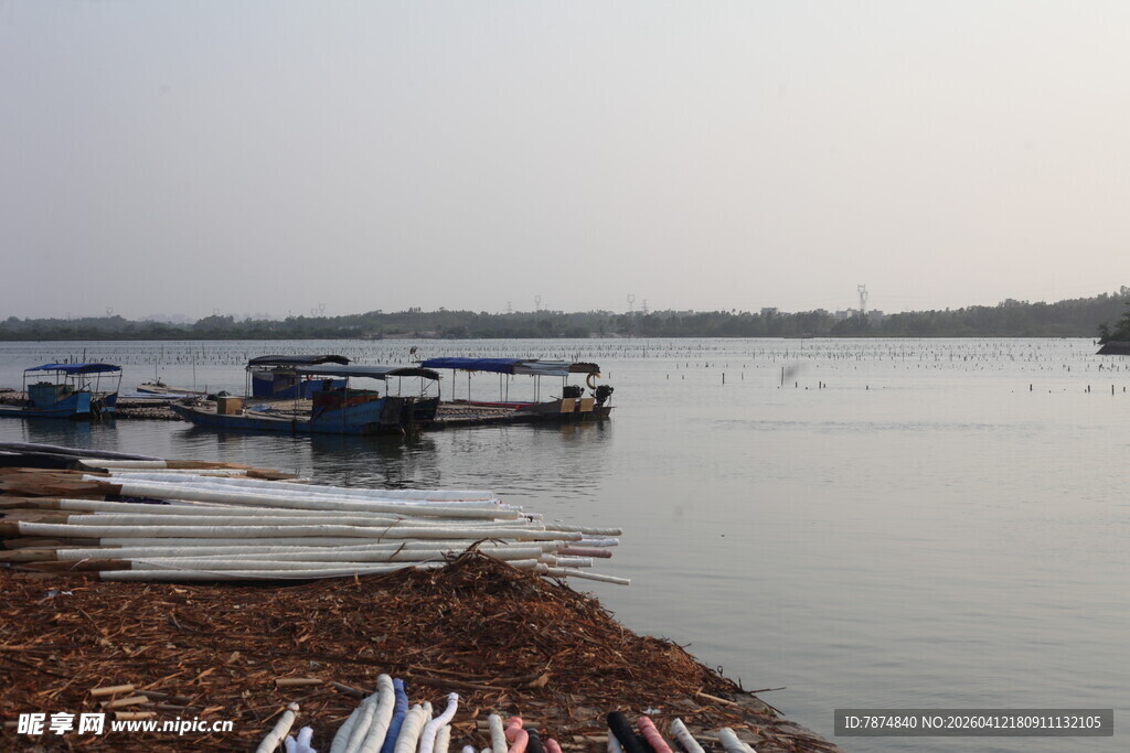 湛江湖畔停泊船只的宁静景象