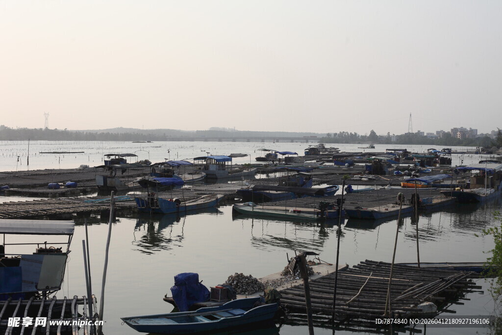湛江宁静渔港的停泊景象