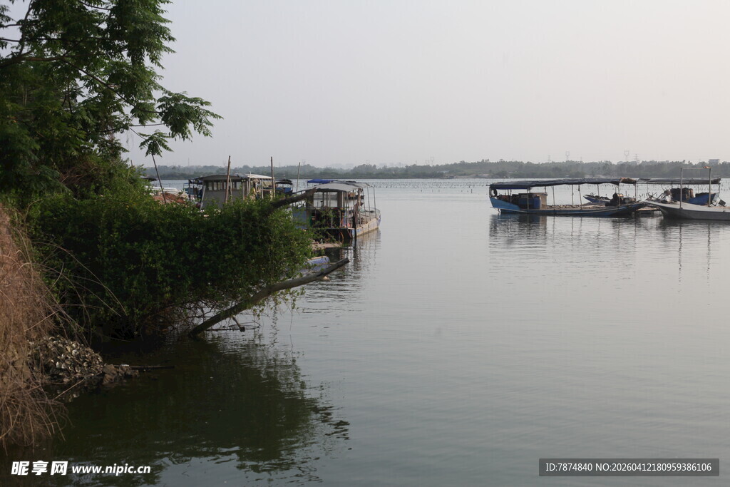 湛江宁静河畔停泊的船只