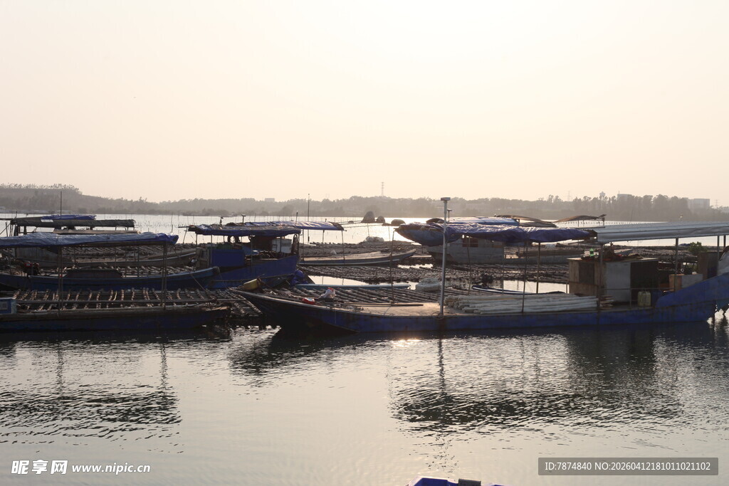 湛江宁静港湾中的停泊船只