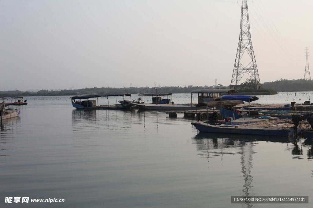 湛江宁静海港的停泊船只景象
