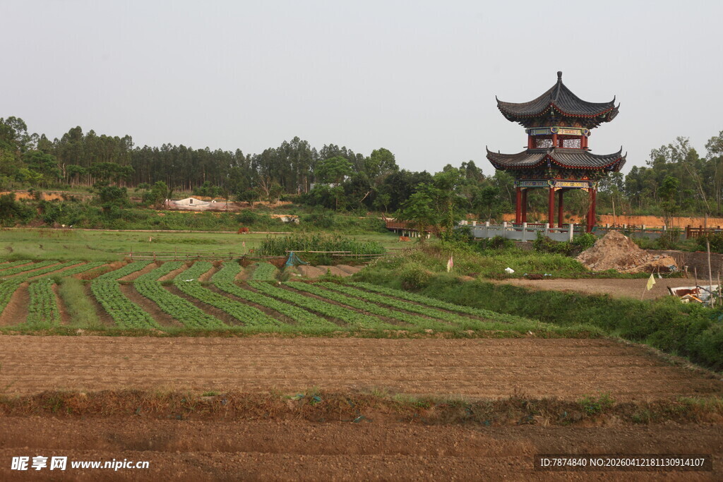 湛江田园风光中的中式古亭