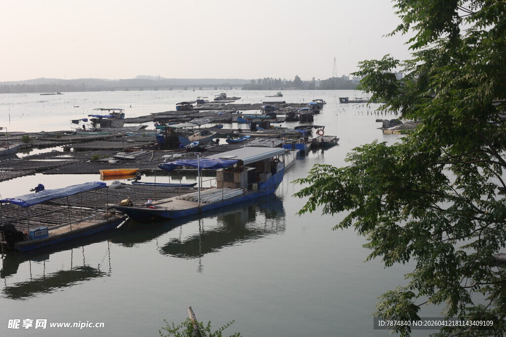 湛江河畔停泊的船只