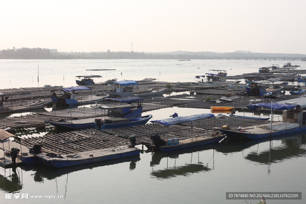湛江港口停泊的船只景象