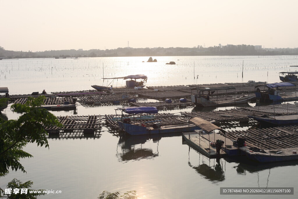 湛江宁静港湾中的停泊船只