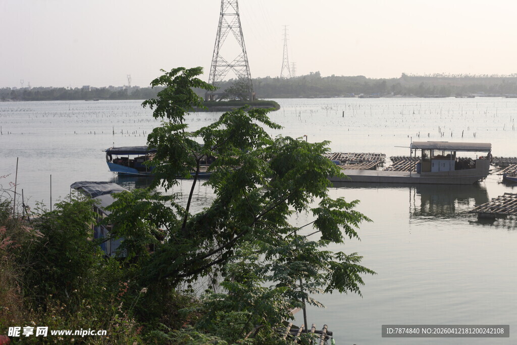 湛江江边停泊船只与绿植景致