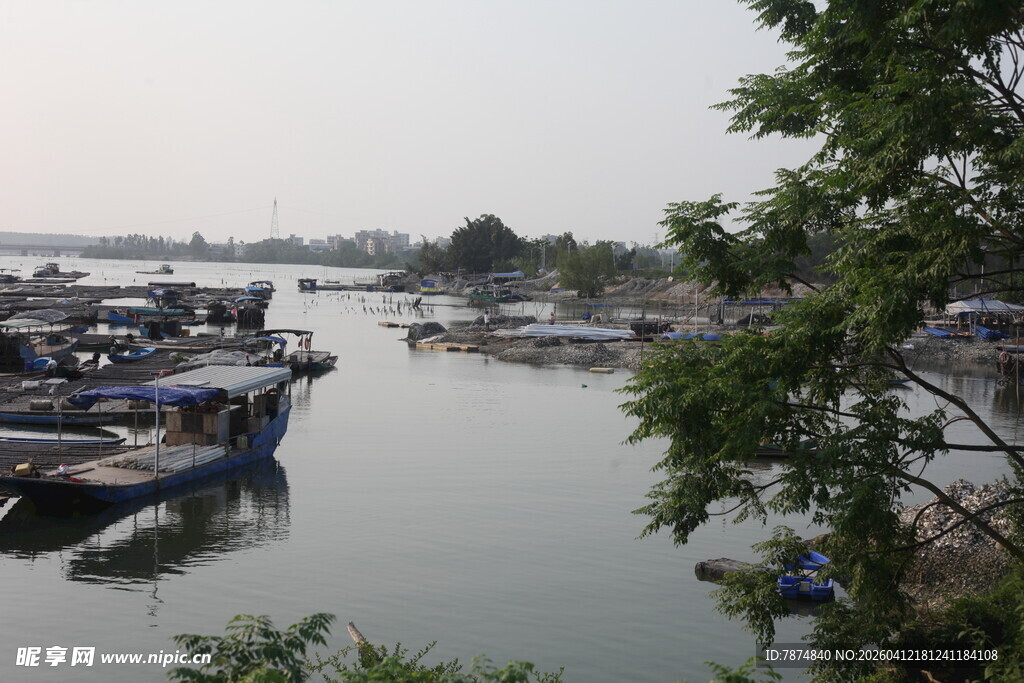 湛江河畔停泊的船只景象