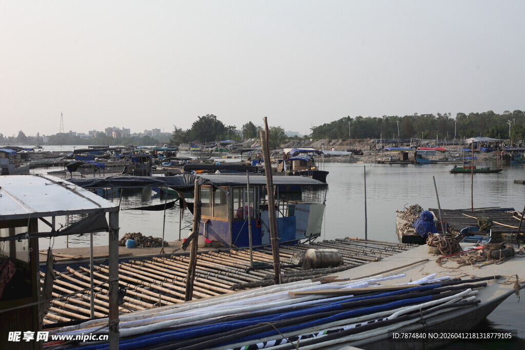 湛江宁静渔港中的停泊船只
