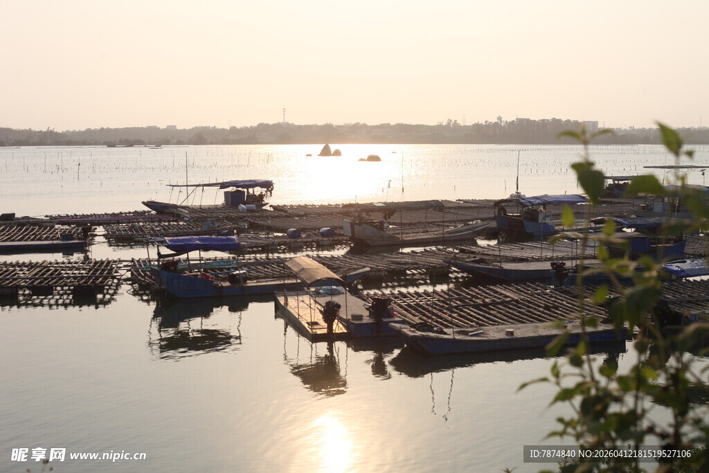 湛江夕阳下宁静的水上停泊场景