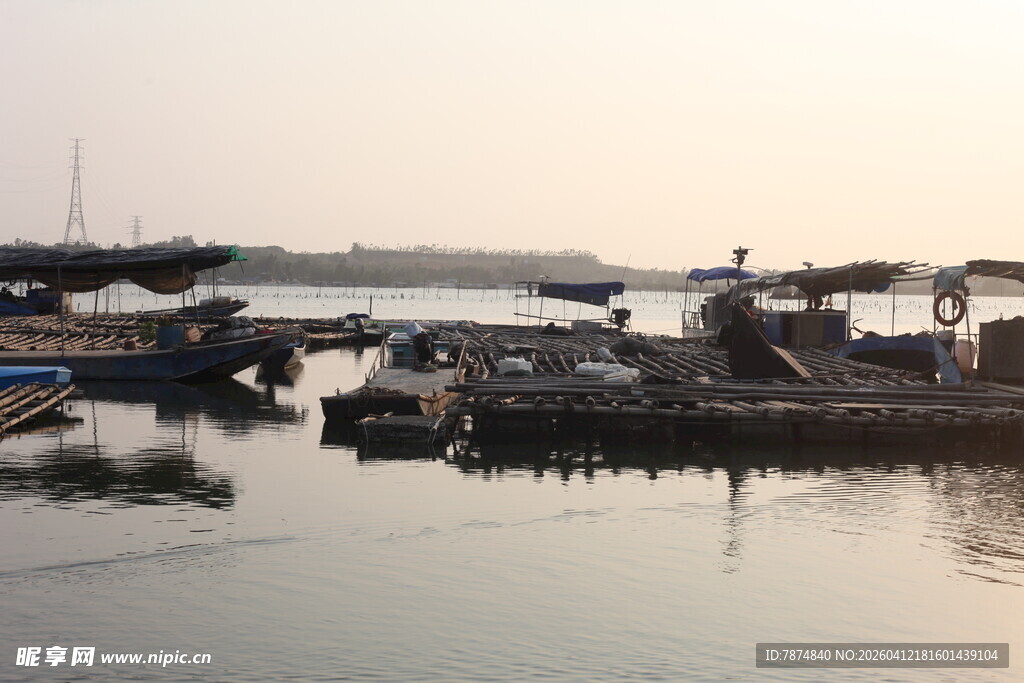 湛江港口停泊的船只景象