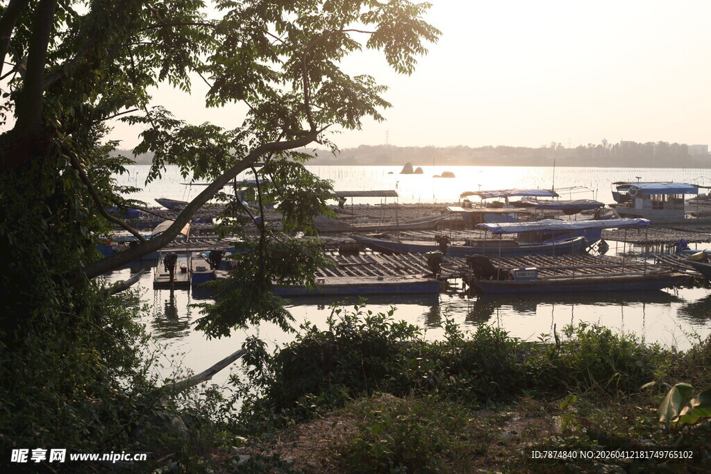 湛江河畔船只停泊的静谧景象