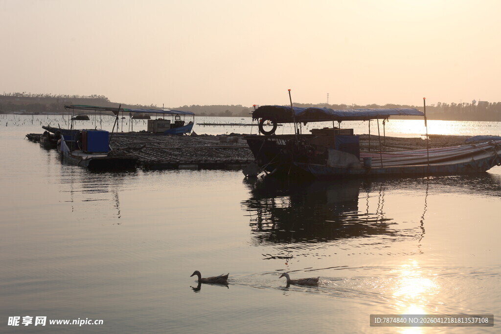湛江夕阳下宁静的湖面船只景象
