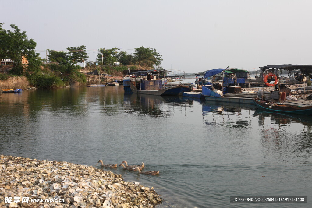 湛江河边停泊的船只景象