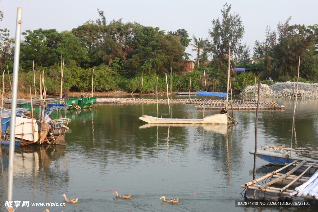 湛江宁静水边停泊的船只景象
