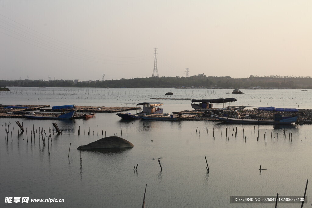 湛江宁静湖畔停泊的船只