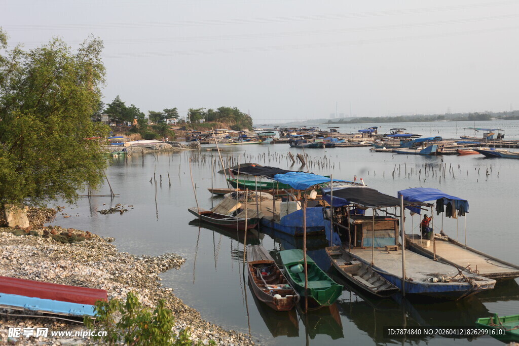 湛江宁静水边停泊的多彩船只