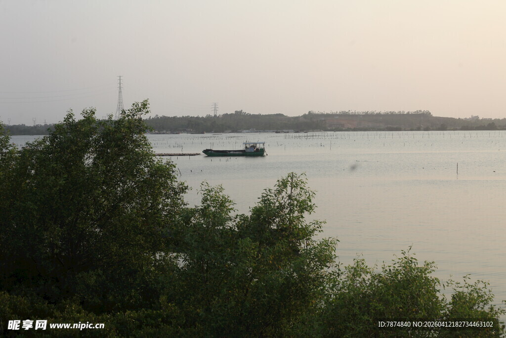 湛江湖畔船只与葱郁绿植景象