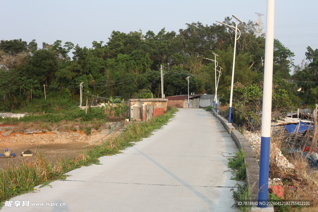 湛江乡村小路旁的自然景致