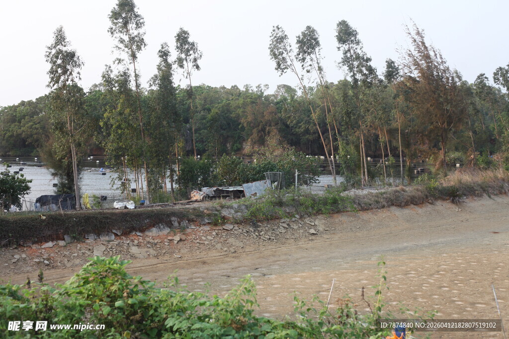 湛江乡村河畔绿树成荫景致