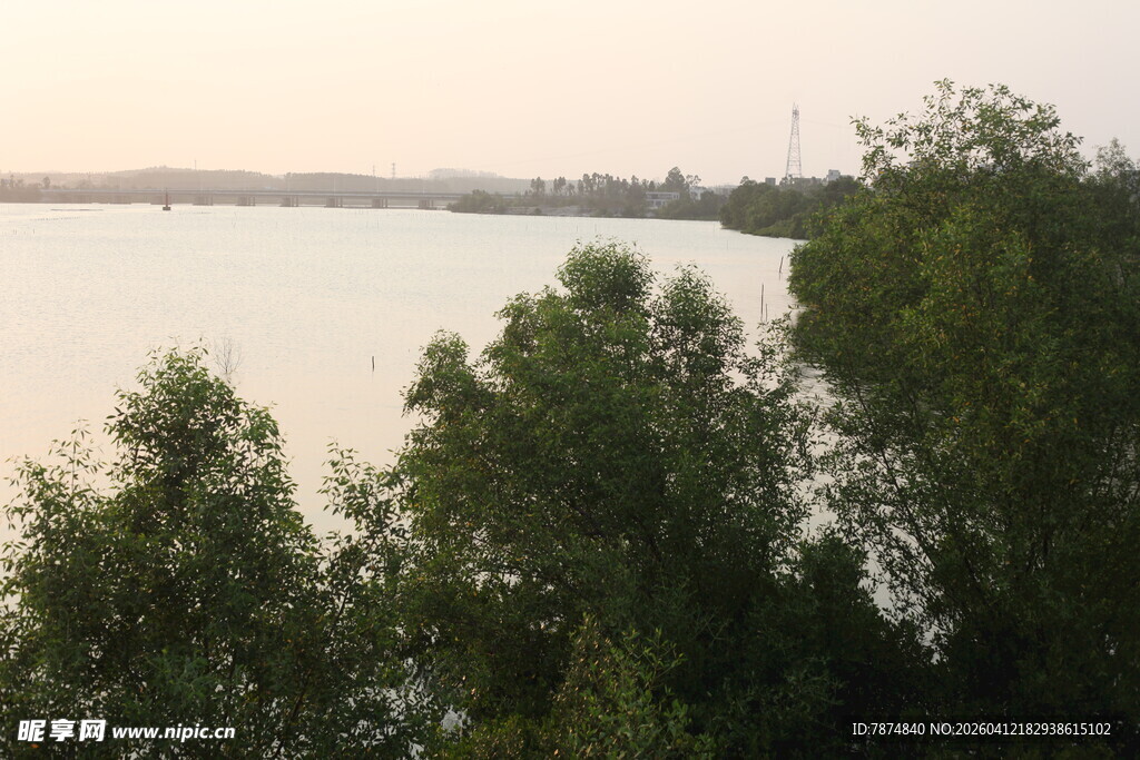 湛江湖畔绿树映黄昏