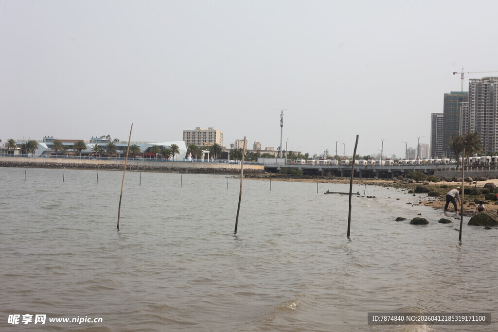 湛江城市边缘的水域景观