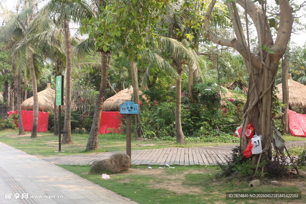 湛江热带风情休闲户外场景
