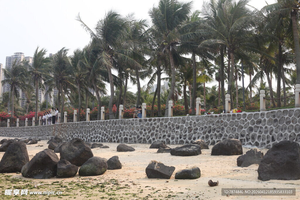 湛江海边石景与椰林景观