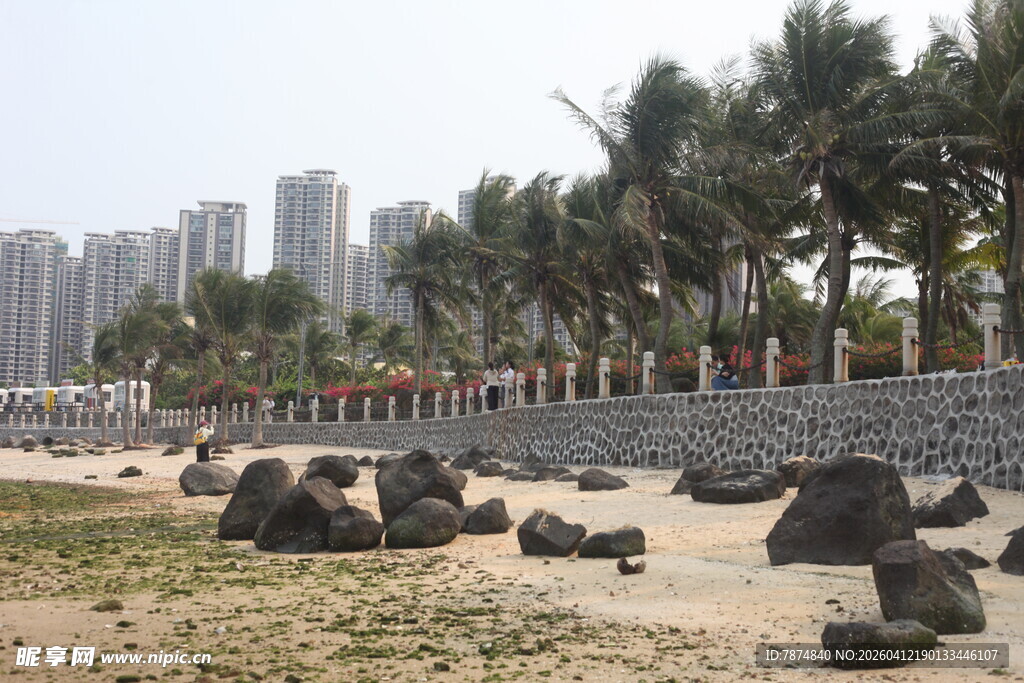 湛江海滨风光 岸边礁石与椰树