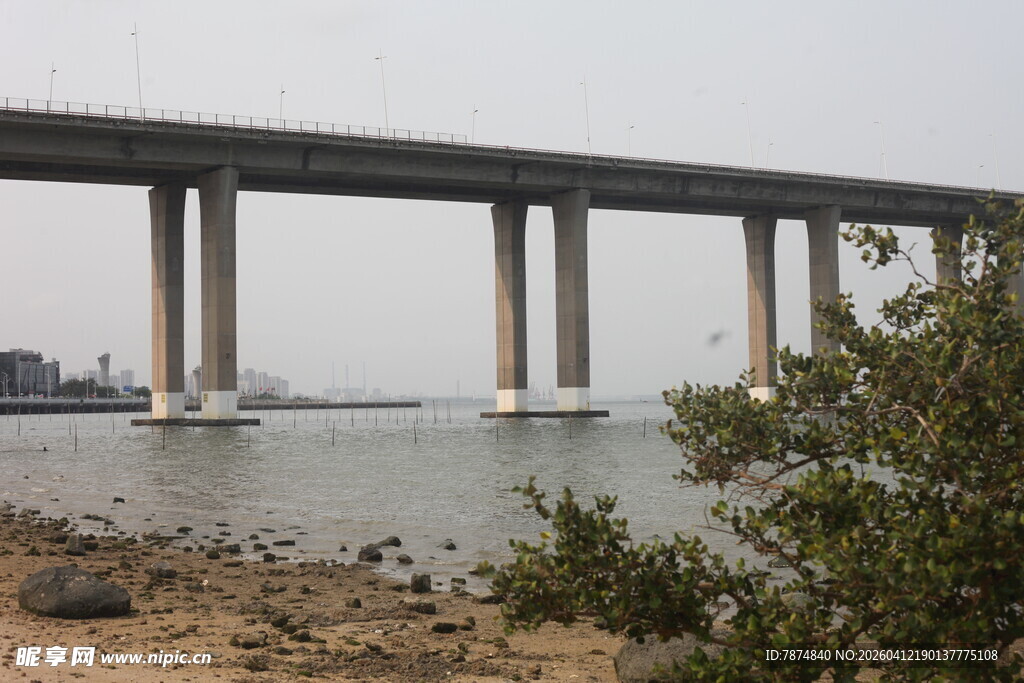 湛江跨海大桥近景