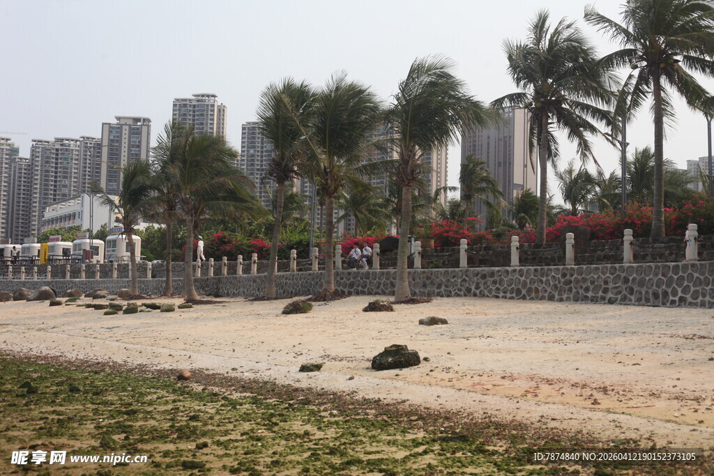 湛江海滨城市景观 沙滩与高楼