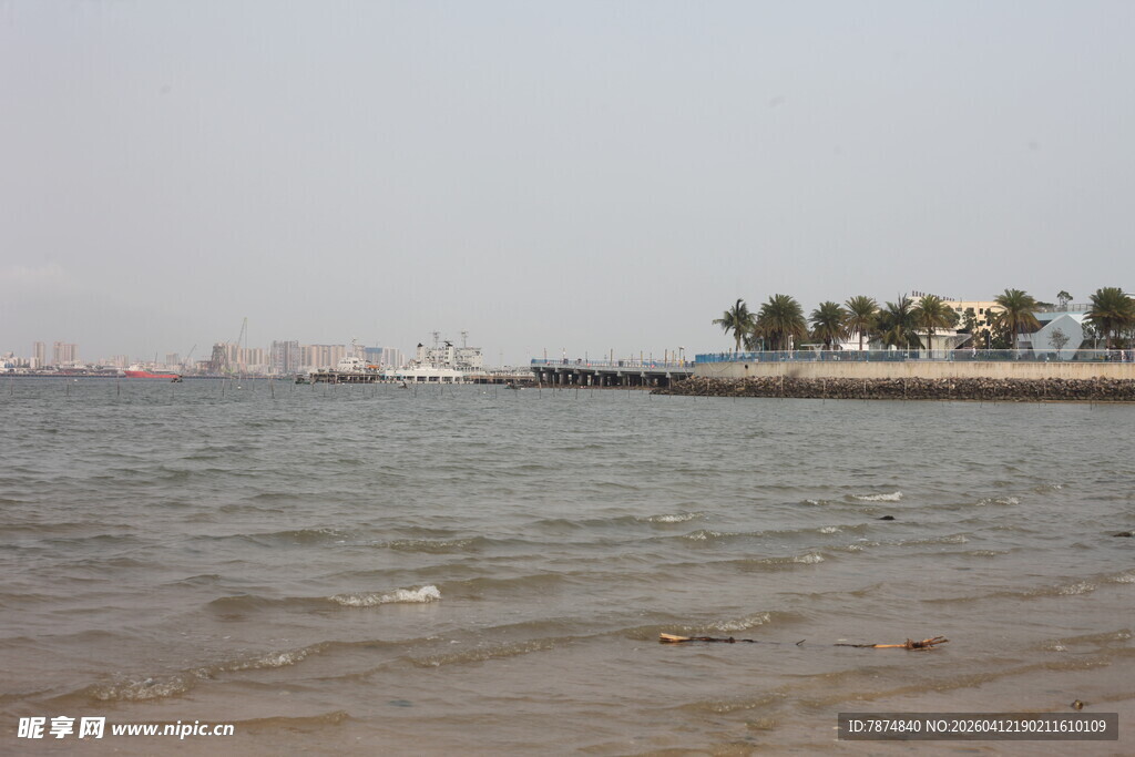 湛江海边风景 远处有棕榈树