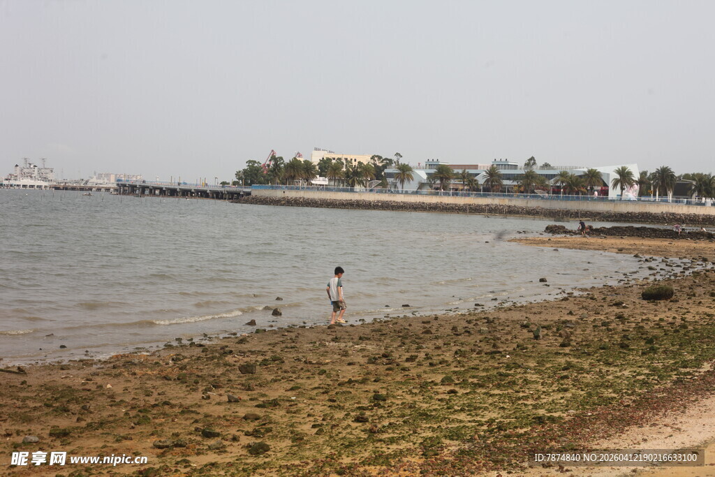 湛江湖畔风光 一人伫立岸边