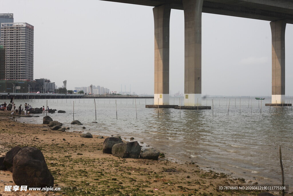 湛江江边桥下的悠闲垂钓场景