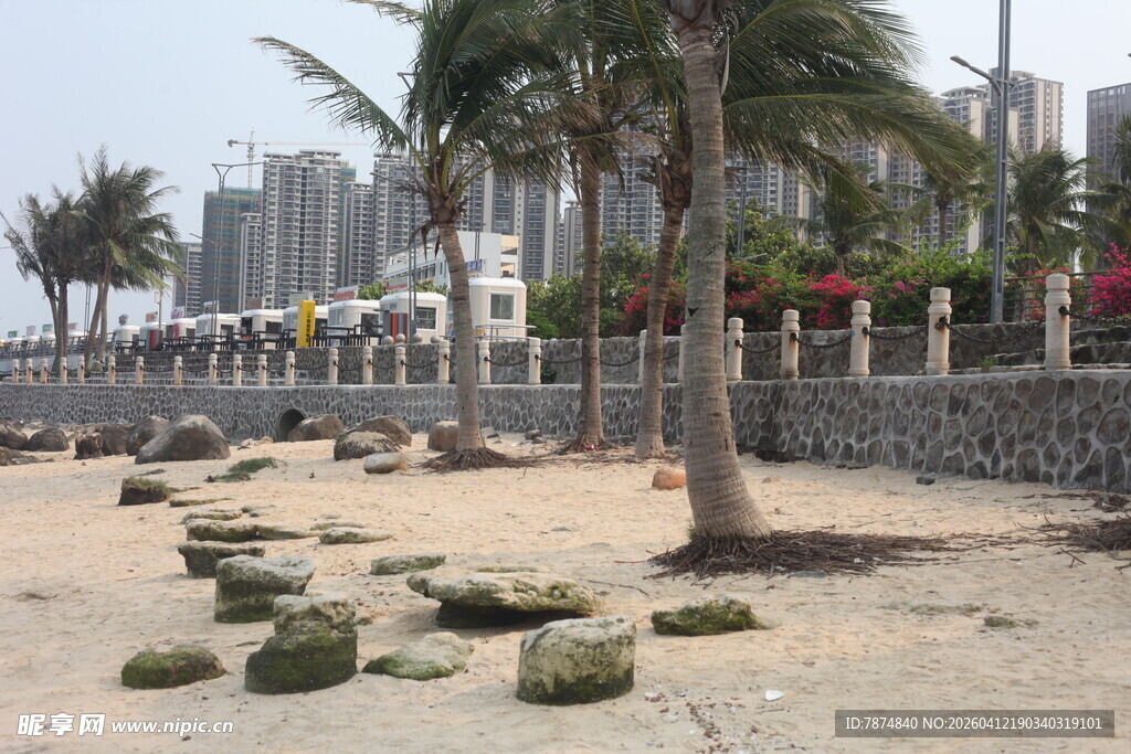 湛江海滨沙滩旁的椰树与石块