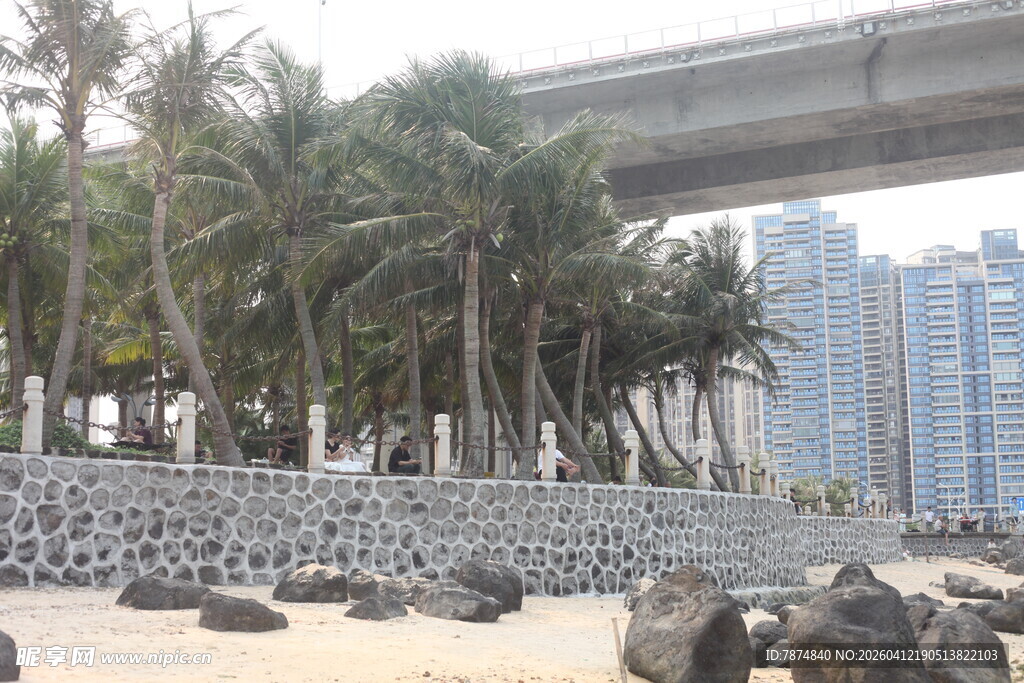湛江城市边的椰林与石滩景观