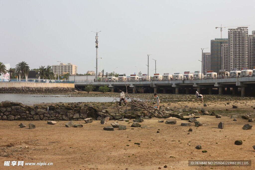 湛江海边滩涂景象