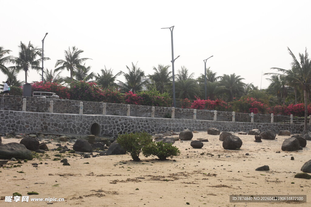 湛江海边沙滩与绿植景观