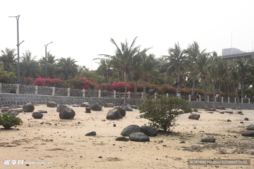 湛江沙滩绿植景观